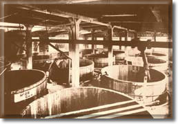 Vats in the plant